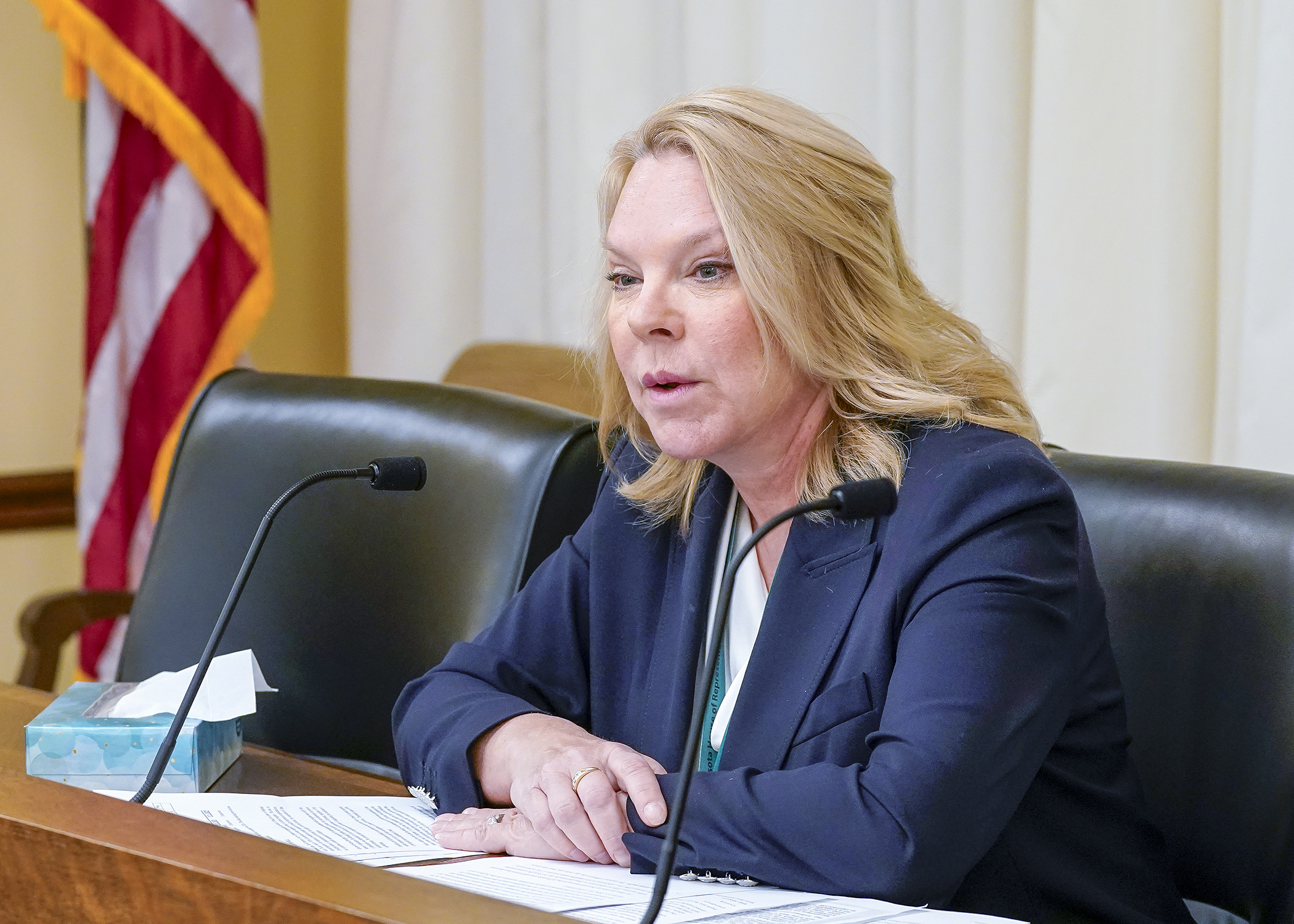 Rep. Patti Anderson presents HF5040 to the House Taxes Committee April 30. The bill would establish a 100% tax on individuals and organizations convicted of and benefiting from fraud. (Photo by Andrew VonBank)